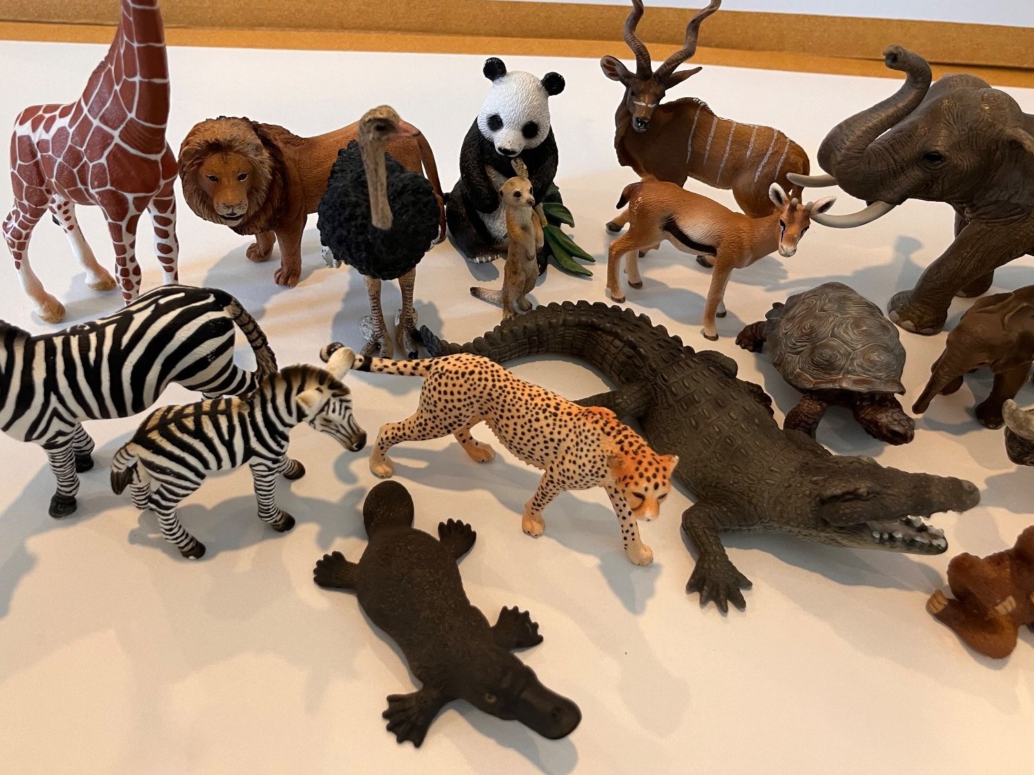 Schleich Giocattoli: Lot Zootiere Schleich – Usato da Uster venduto da colmo 1