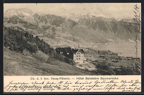 Cartoline postali: Vevey-Pélerin, Hotel Belvédère Baumar – Usato da Berlin venduto da bartko-reher