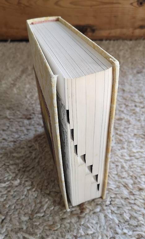Libri: Wohnstile - Antik und Modern – Usato da Burgistein venduto da LaLUZdelFARO 2