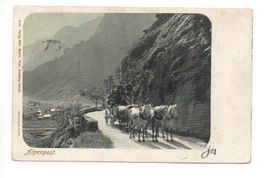 ALPENPOST Postkutsche gel. 1902 v. Rigi-Kulm