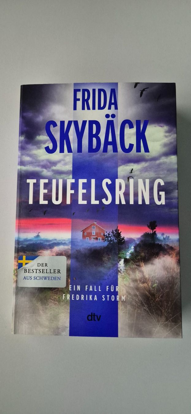 Bücher: Teufelsring von Frida Skybäck – Gebraucht aus Winterthur von Skitten