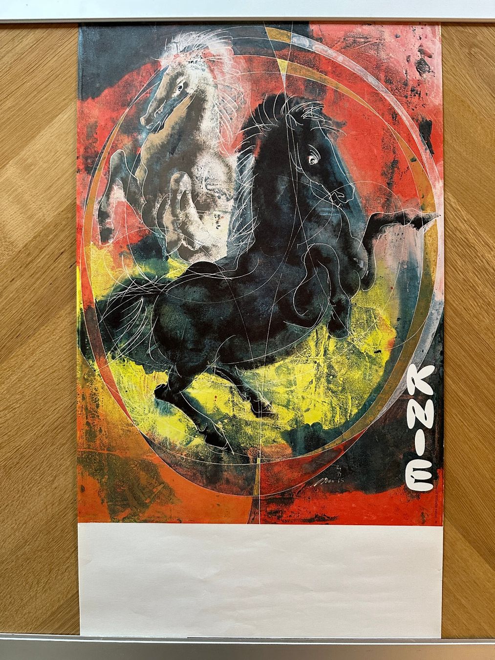 Foto & Immagini: affiches Hans Ernie / cirque Knie – Usato da Fribourg venduto da Mc_Husky 1