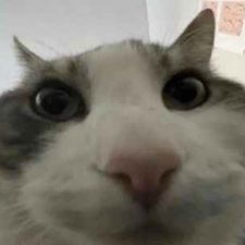 Profile image of sir_sd8r