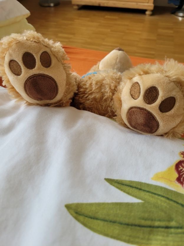 Spielzeuge: Original Omega Orbis Teddybär der Hilfsorganisation Orbis – Gebraucht aus Altdorf UR von Nordwing 4