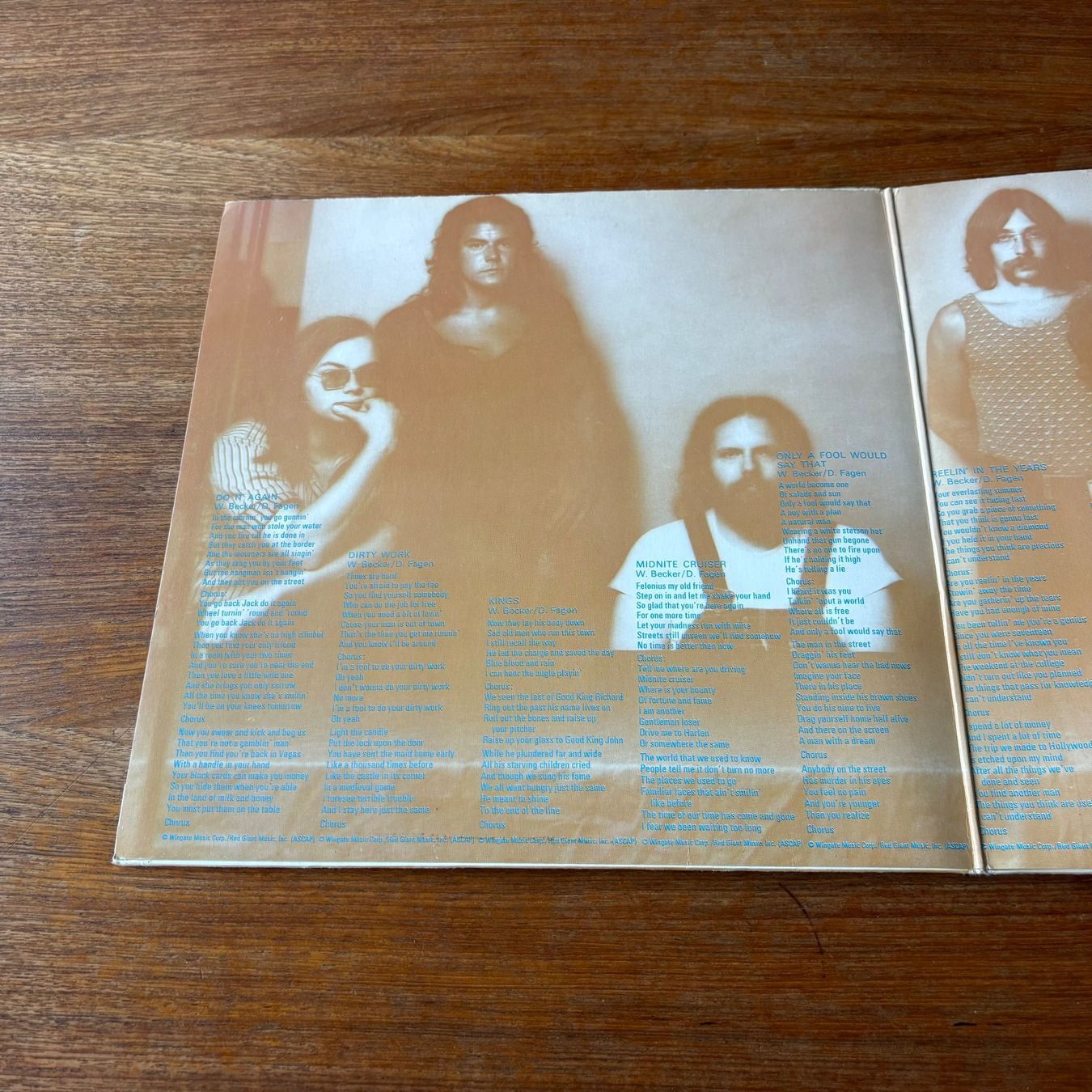Dischi in vinile: Steely Dan – Can't Buy A Thrill – Usato da Zürich venduto da gaal7 2