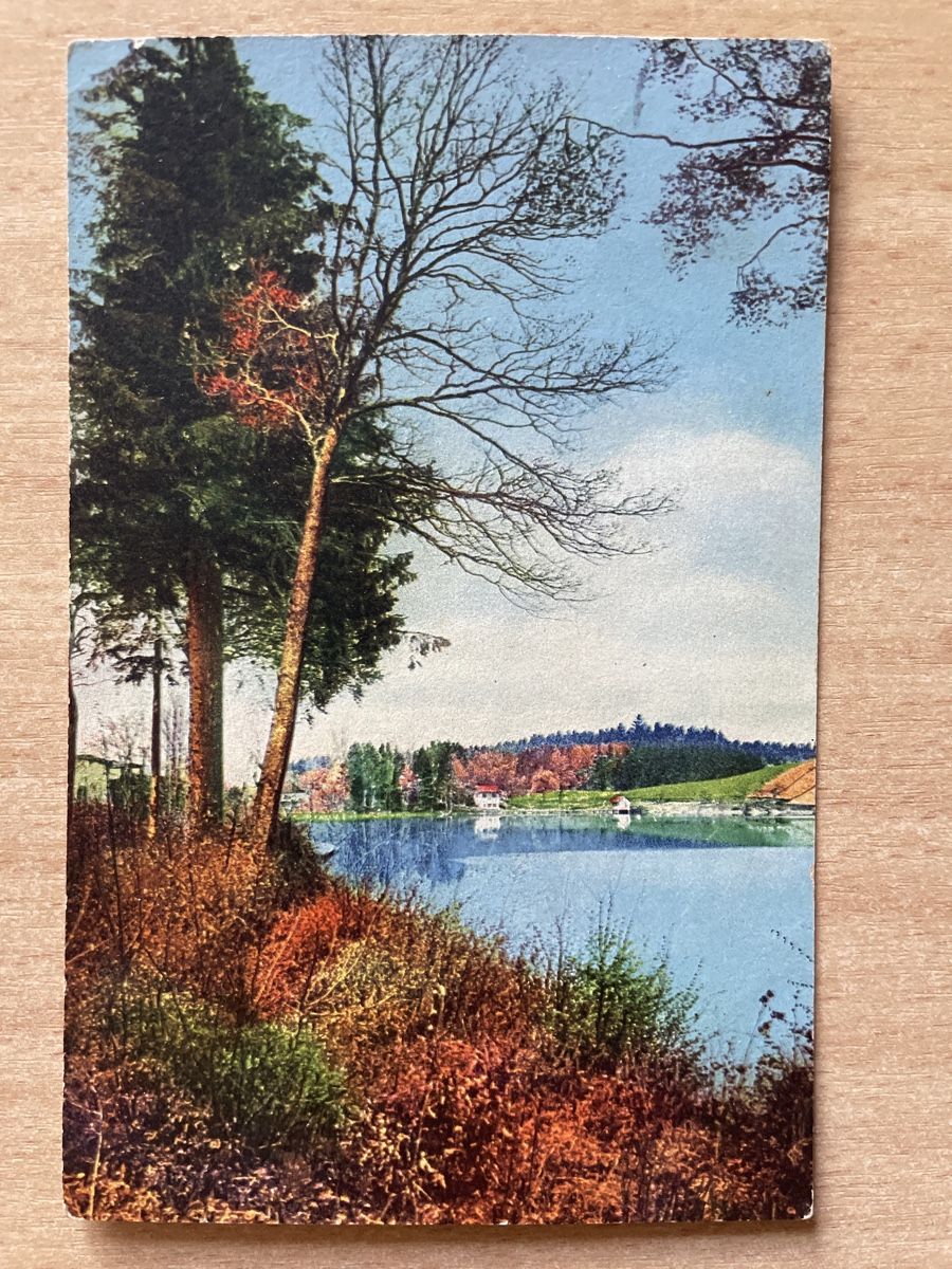 Cartoline postali: Alte Ansichtskarte Schweiz, See, Herbstlandschaft, 1920 gel. – Usato da Neuhausen am Rheinfall venduto da Arielle55