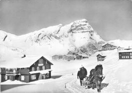 Melchsee Frutt OW / 1964 Hotel Reinhard Pferdegespann Winter
