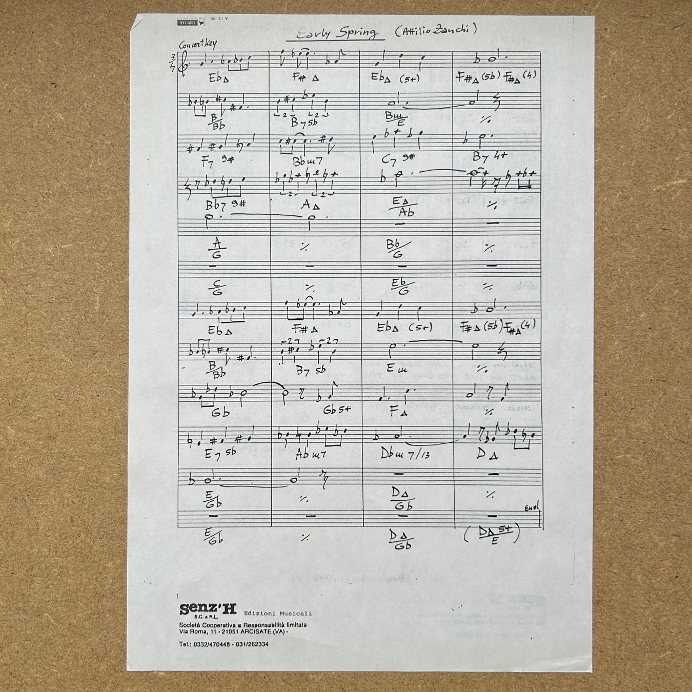 Dischi in vinile: Attilio Zanchi  Early Spring  LP – Usato da Lausanne venduto da Pask1 4