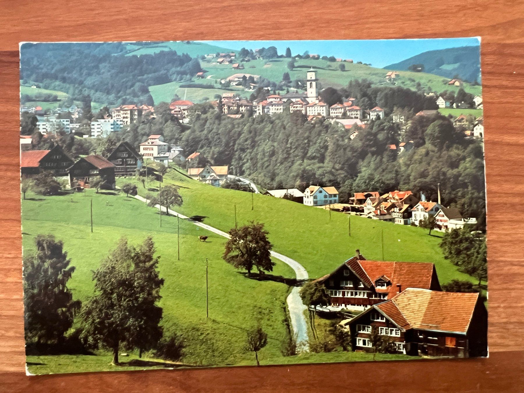 Cartoline postali: AK  1981  Heiden  (G1509) – Usato da Hinwil venduto da Sidi4