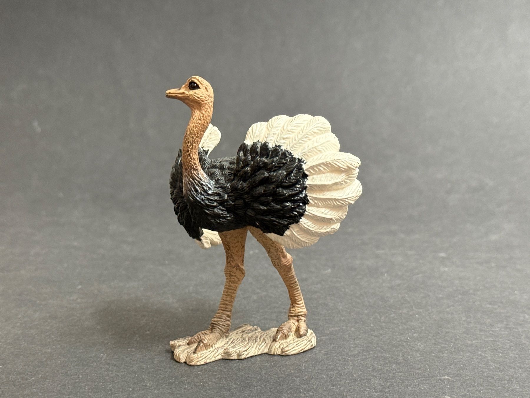 Schleich Statuette: Schleich Strauss Straussenmännchen – Usato da Ennetbaden venduto da mapa05 7