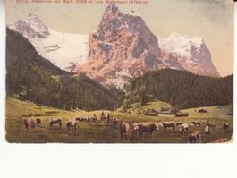 Rosenlaui 1912