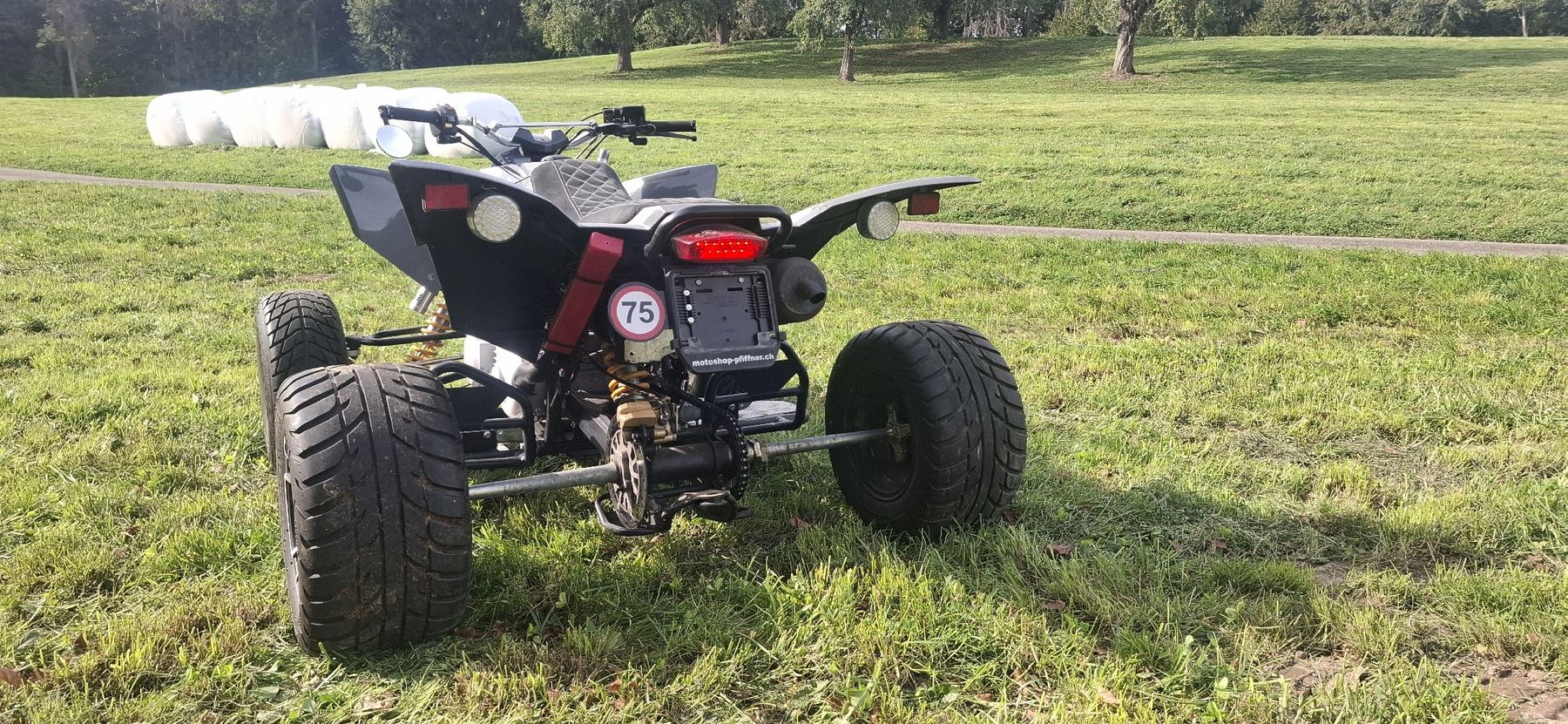 Smc (Sm) ATV / Quad: Quad SMC Trasher 320 SM – Usato da Pfäffikon SZ venduto da Msteiner1402 3