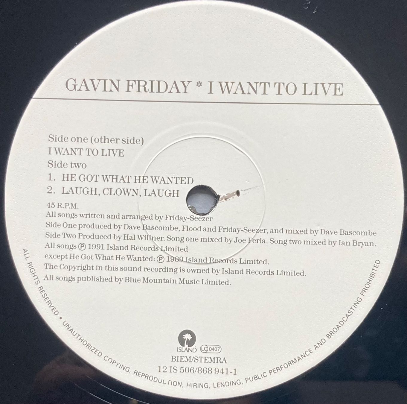 Dischi in vinile: GAVIN FRIDAY - I WANT TO LIVE – Usato da Poliez-Pittet venduto da Newtown-Records 3
