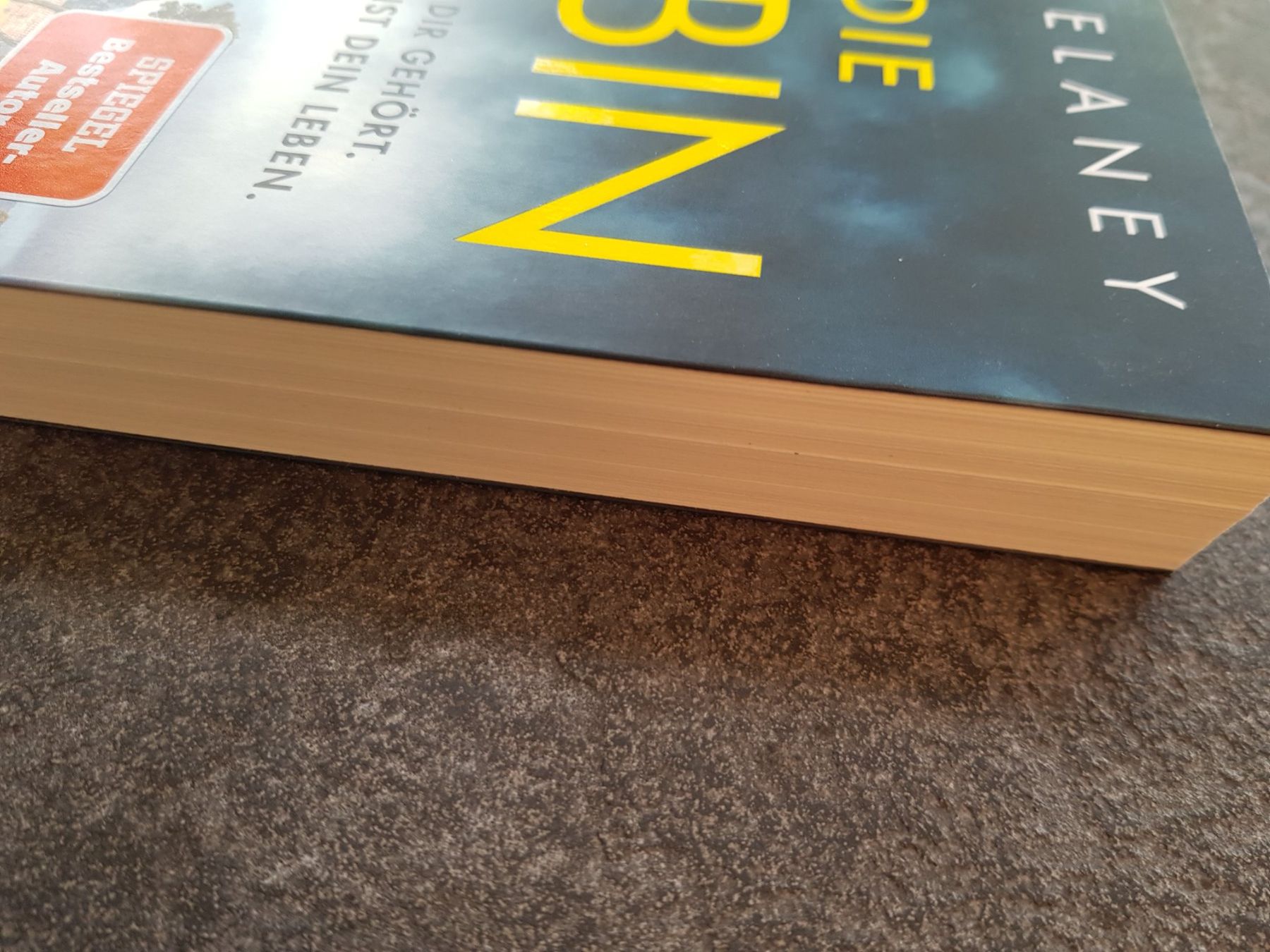 Libri: DIE ERBIN / JP Delaney / Thriller – Usato da Dietikon venduto da marconi07 2