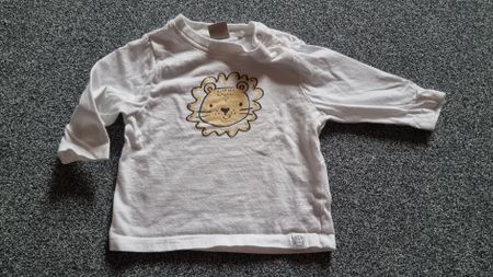 Pull 62-68 Lion