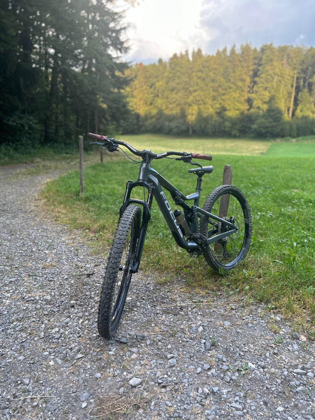 Focus Velos: Focus thron – Gebraucht aus Remaufens von que_v85b