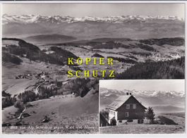 Wald ZH - Alp Scheidegg / Blick auf Wald und die Alpen /bi