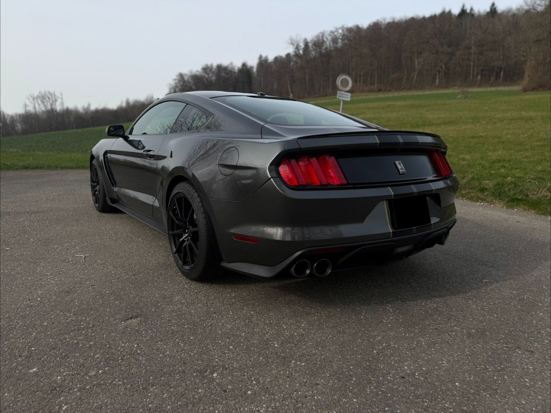 Ford (Usa) Autos: Shelby gt350 – D'occasion à Nussbaumen AG par Zahnpasta01 1