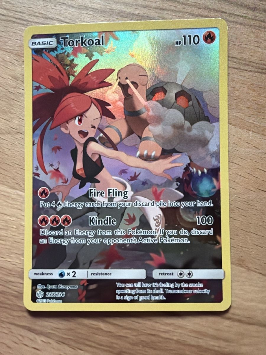 Pokémon Carte collezionabili: Torkoal 237/236 EN – Usato da Conthey venduto da Vswissplugs.com 1