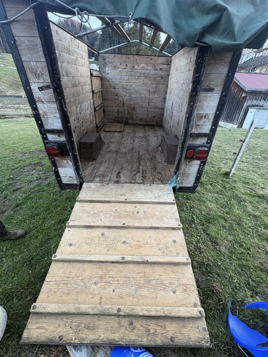 Rimorchi: Viehwagen – Usato da Wildhaus venduto da mar_bt2q 1