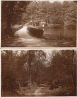 Handcross + Balcombe Forest ca. 1930