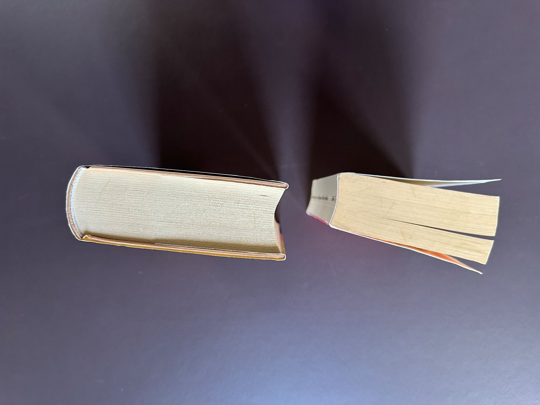 Libri: 2 spannende Bücher (3 Romane) – Usato da Münsingen venduto da Sternsaphir64 2
