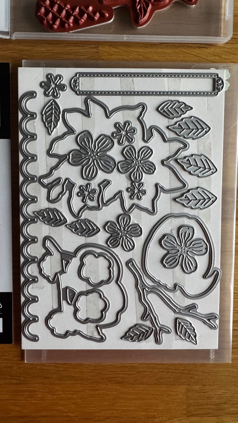 Stampin' up! Stempel: Stampin Up / Apfelernte / A – Gebraucht aus Neukirch (Egnach) von muolen 3