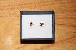 Ohrstecker Gold 18k (750)
