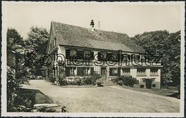 ZH Elgg