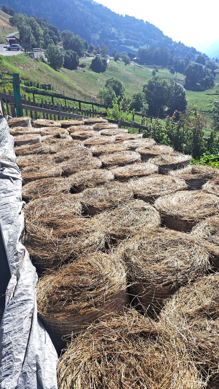 Mangimi: Heuballen – Nuovo e nell'imballaggio originale da Guttet-Feschel venduto da Kureto 2