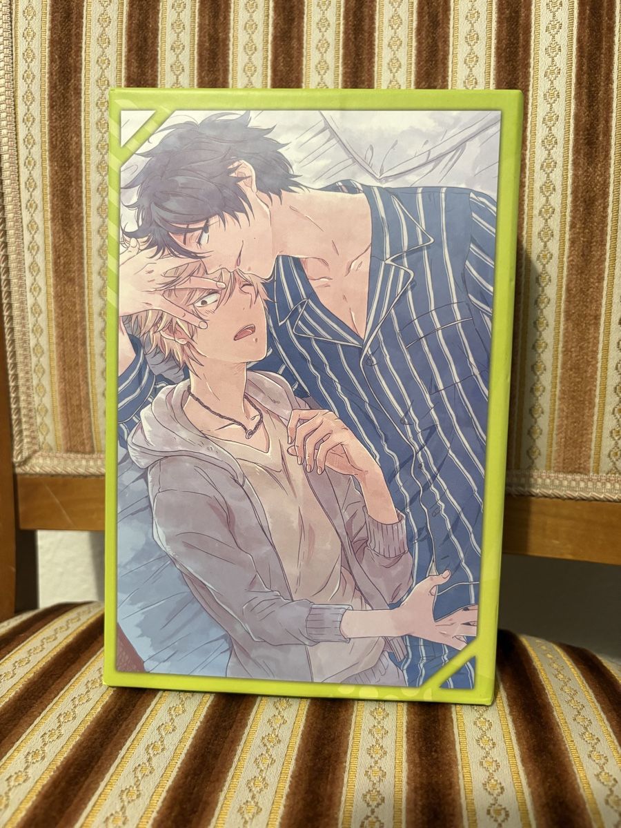 Hitorijime My Hero Manga Box Set Band 1 bis 6 neuwertig (Neu (gemäss ...