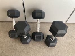 ATX/IFS HEX KOMPAKT HANTELN GUMMI