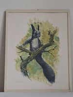 Eichhörnchen von Willy Bär