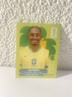 Panini Sticker Raphinha BRA19 WM2022 - Top Zustand!