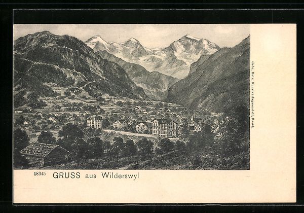 Cartoline postali: AK Wilderswil, Panorama – Usato da Berlin venduto da bartko-reher