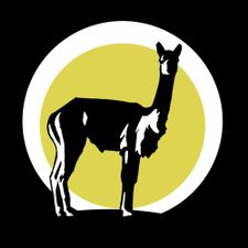 Profile image of Naimid_telares