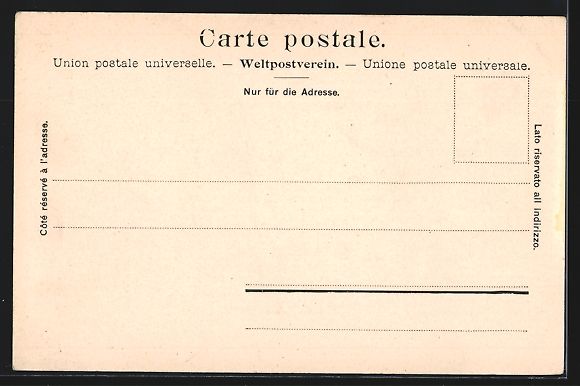 Cartoline postali: Schaffhausen, Totalansicht mit Brücken  – Usato da Berlin venduto da bartko-reher 1