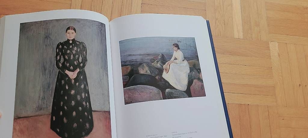 Libri: Edvard Munch – Usato da Würenlos venduto da bat_y8kw 2