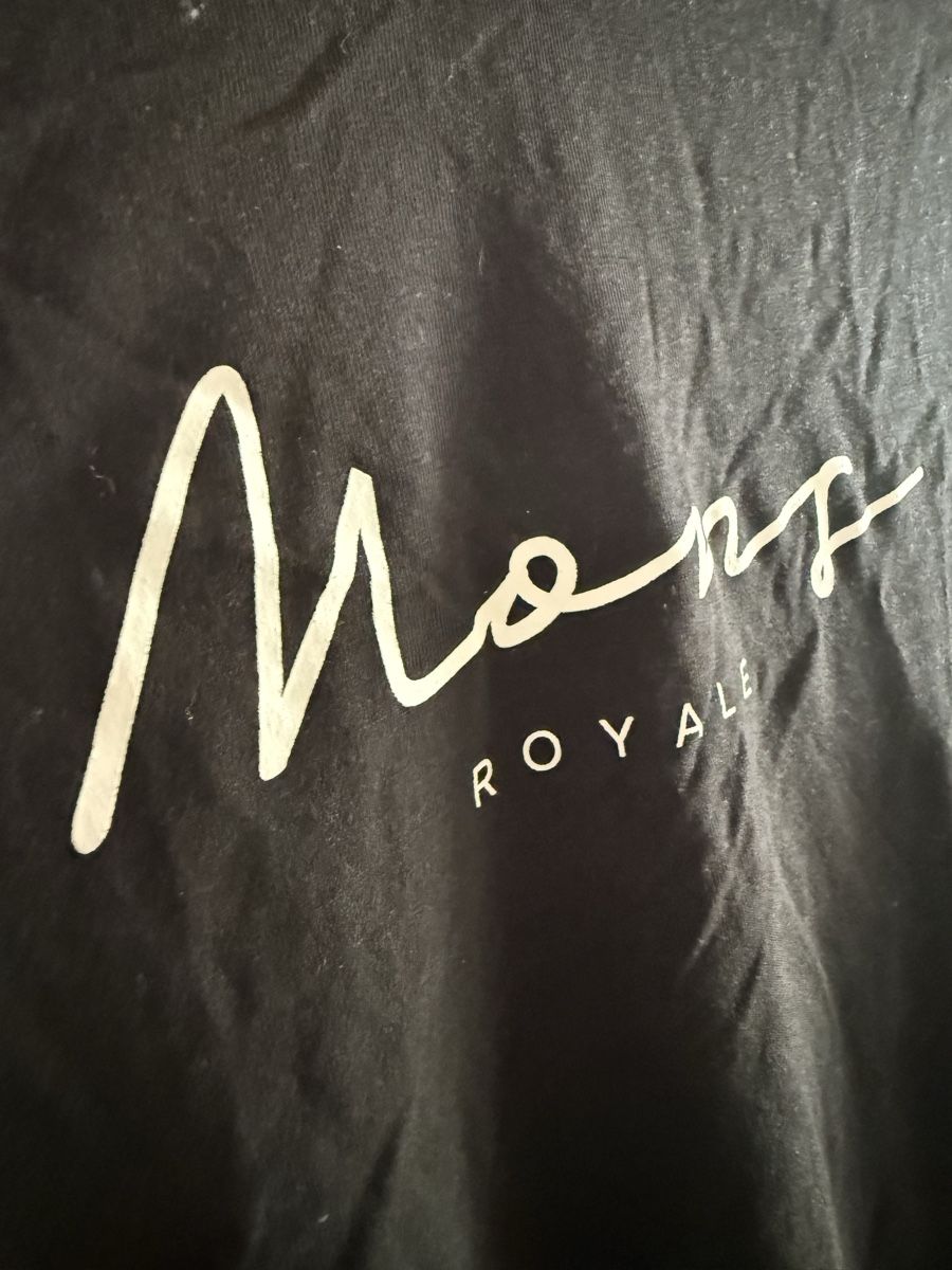 Mons Royale T-shirt: Mons Royale Merino Icon Tee M – Usato da Liebefeld venduto da Lalyle 3