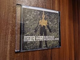 Magical Heart - Another Wonderland