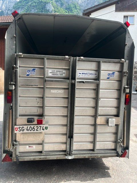 Ifor Rimorchi: Viehanhänger – Usato da Hochwiese venduto da marchhof 1