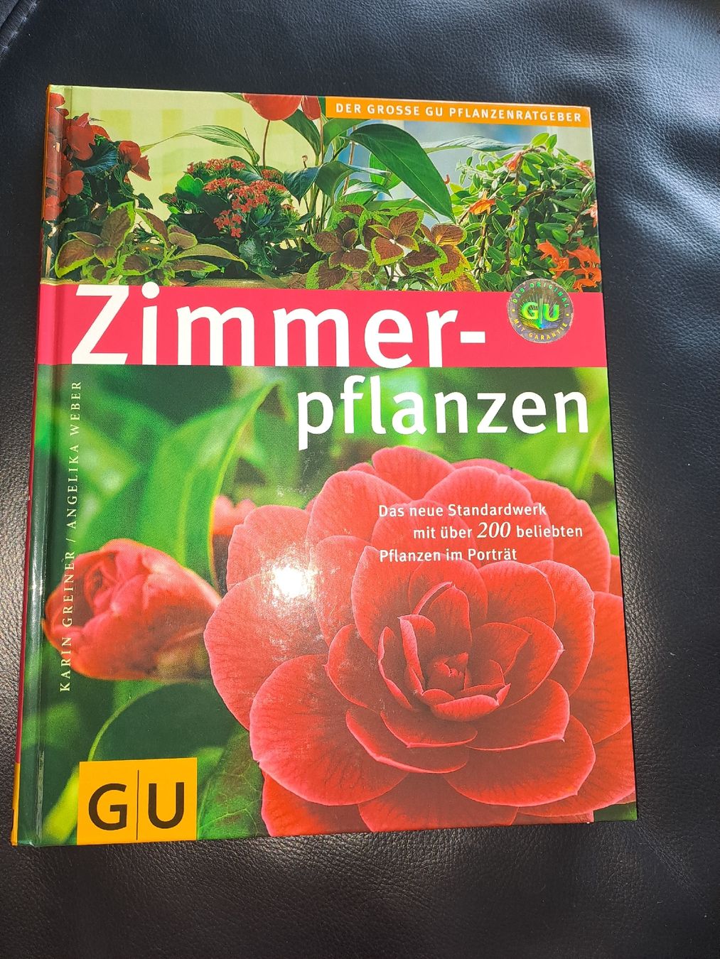 Livres: Buch Zimmerpflanzen – D'occasion à Osogna par stella086
