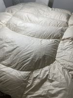 Thermo Balance Natur gänsen Duvet 🌸