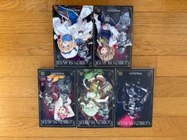Goblin Slayer – Manga tomes 1 à 5 – Lot VF
