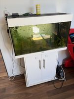 Aquarium mit Fische