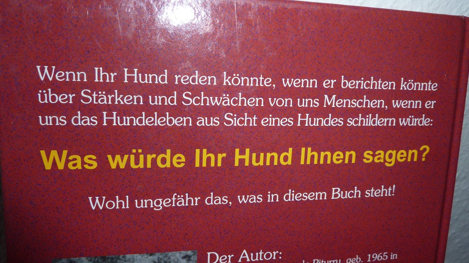 Bücher: lassie  und rex   hundebuch – Neu (gemäss Beschreibung) aus Füllinsdorf von pmarkus 3