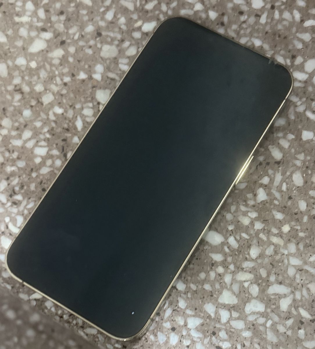 Apple Telefoni cellulari / Smartphones: iPhone 13 Pro 256 GB  – Usato da Bonstetten venduto da mer_7s6y 1