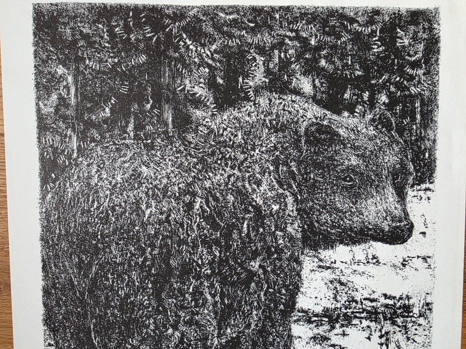 Grafica & Litografie: Lithografie Bild Bär - P. Bergmann handsigniert – Usato da Walterswil BE venduto da Lonitti 2