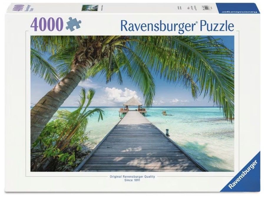 Ravensburger Puzzles: Puzzle 4000 Teile Ravensburger  – D'occasion à Zeiningen par viv_5kfy 1