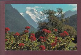 JUNGFRAU - 1962
